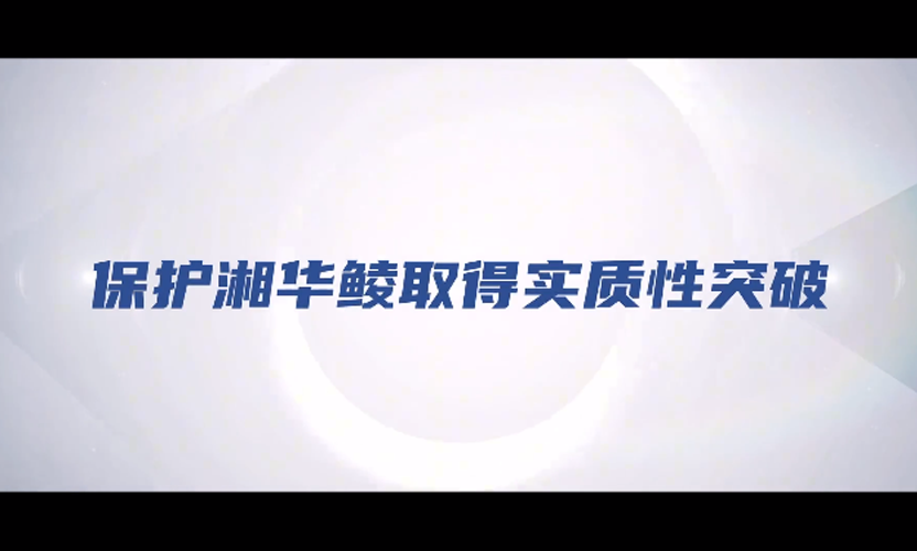 2025-5-30-4輪播.png