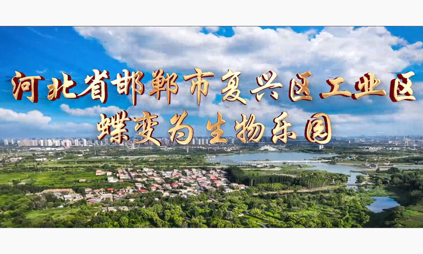 2025-6-3-1輪播.png